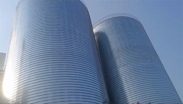 天门2座混凝土高架卷板仓